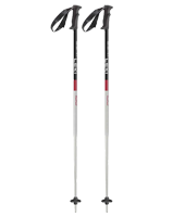 Skistöcke